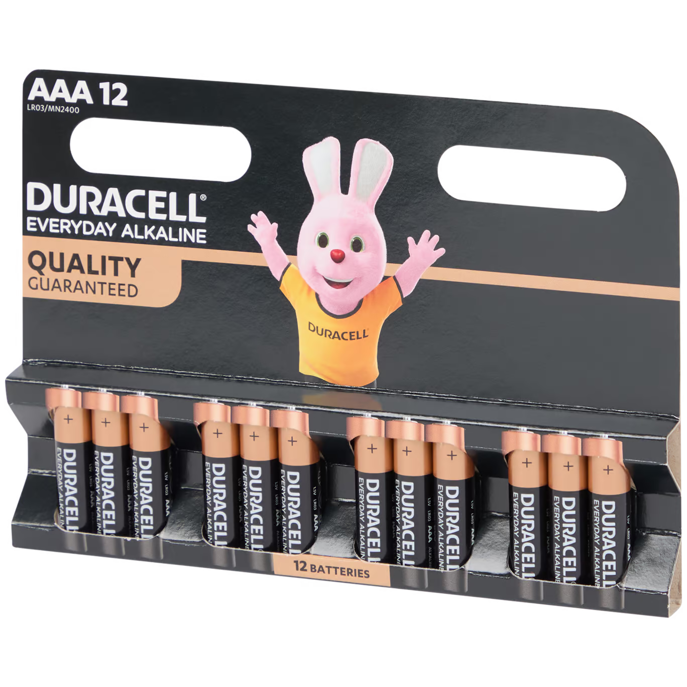 Duracell Batterijen AAA 12 stuks